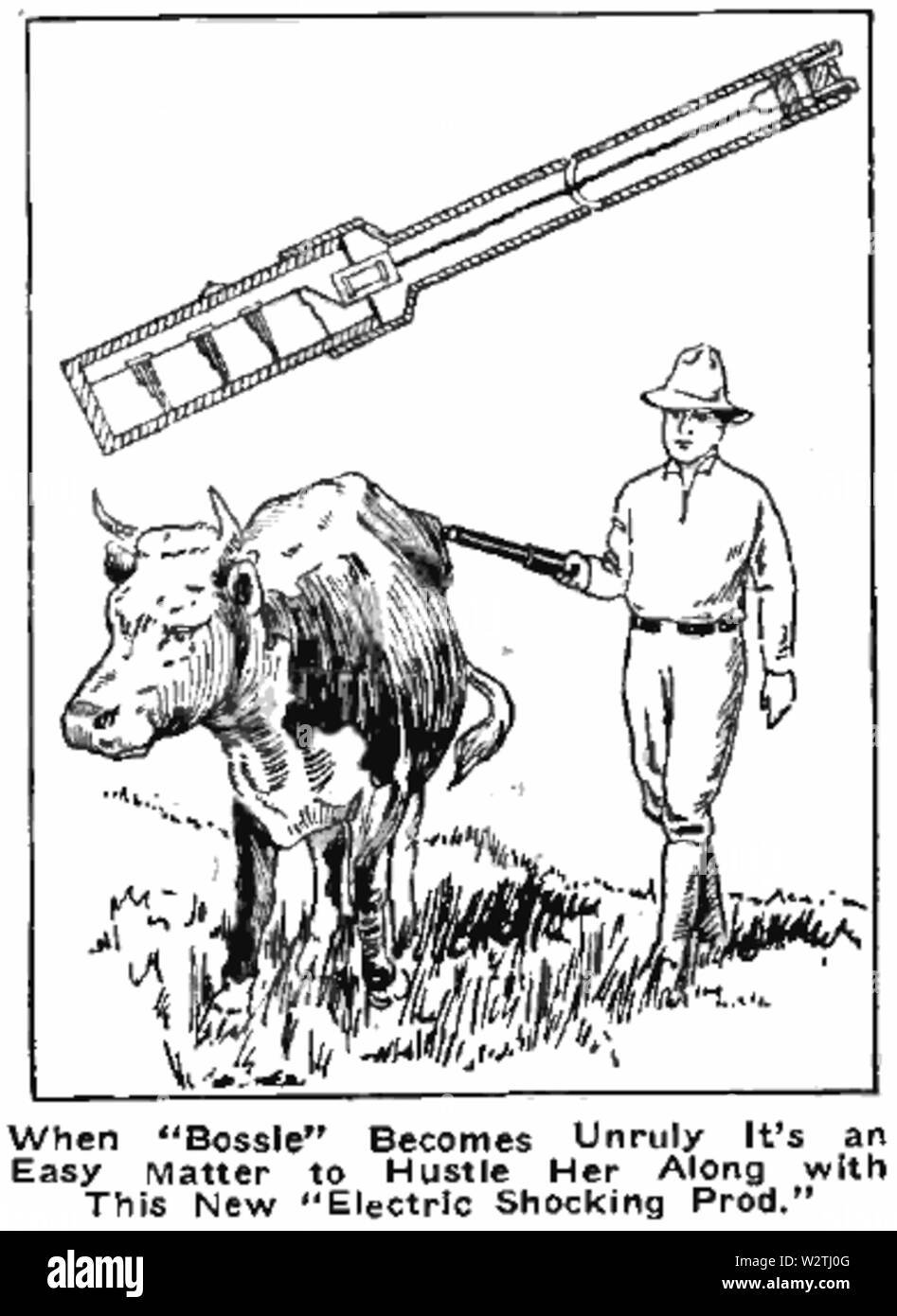 Cattle prod hires stock photography and images Alamy