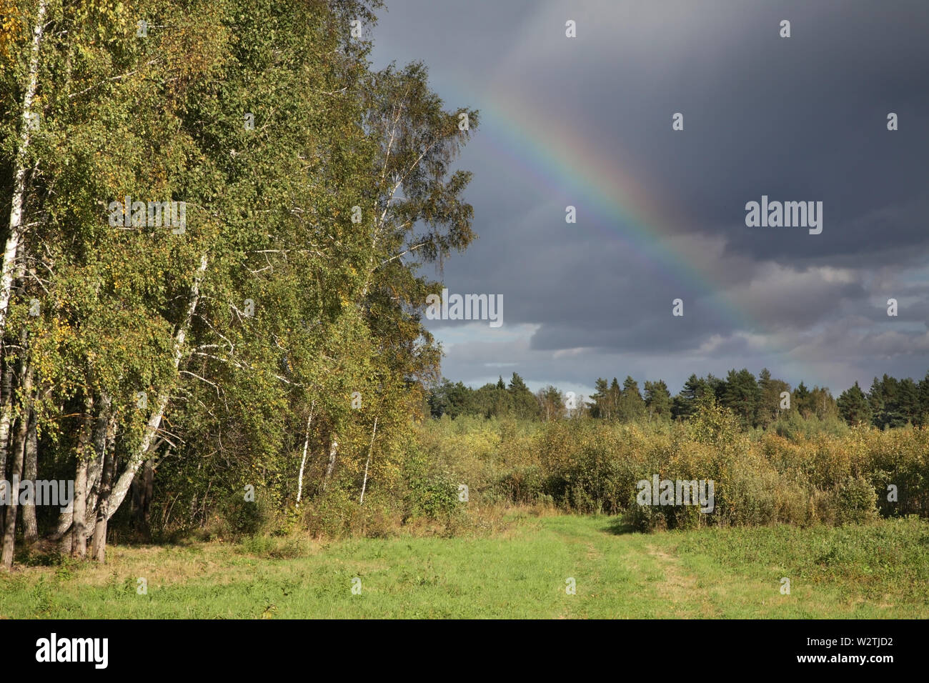 Landscape near Nikola-Lenivets village. Kaluga oblast. Russia Stock Photo