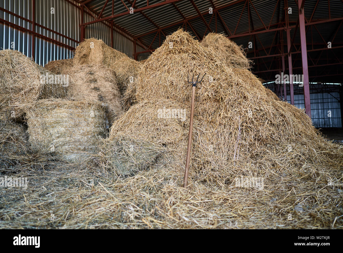 harvested hay stacks Stock Photo Alamy