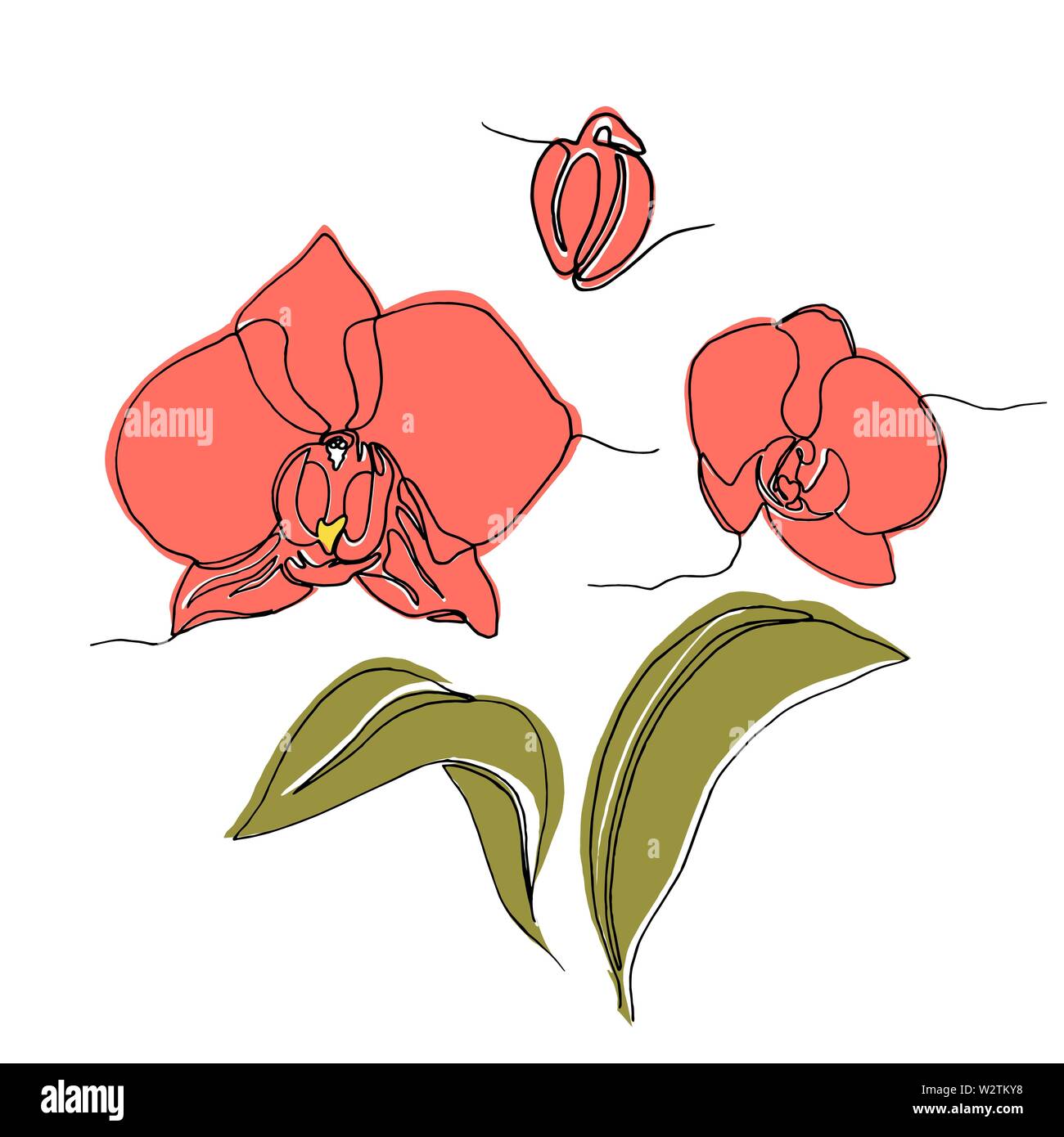 set of hand drawn orchid flowers and leaves, one single line drawing. isolated on white background. Stock vector illustration. Stock Vector