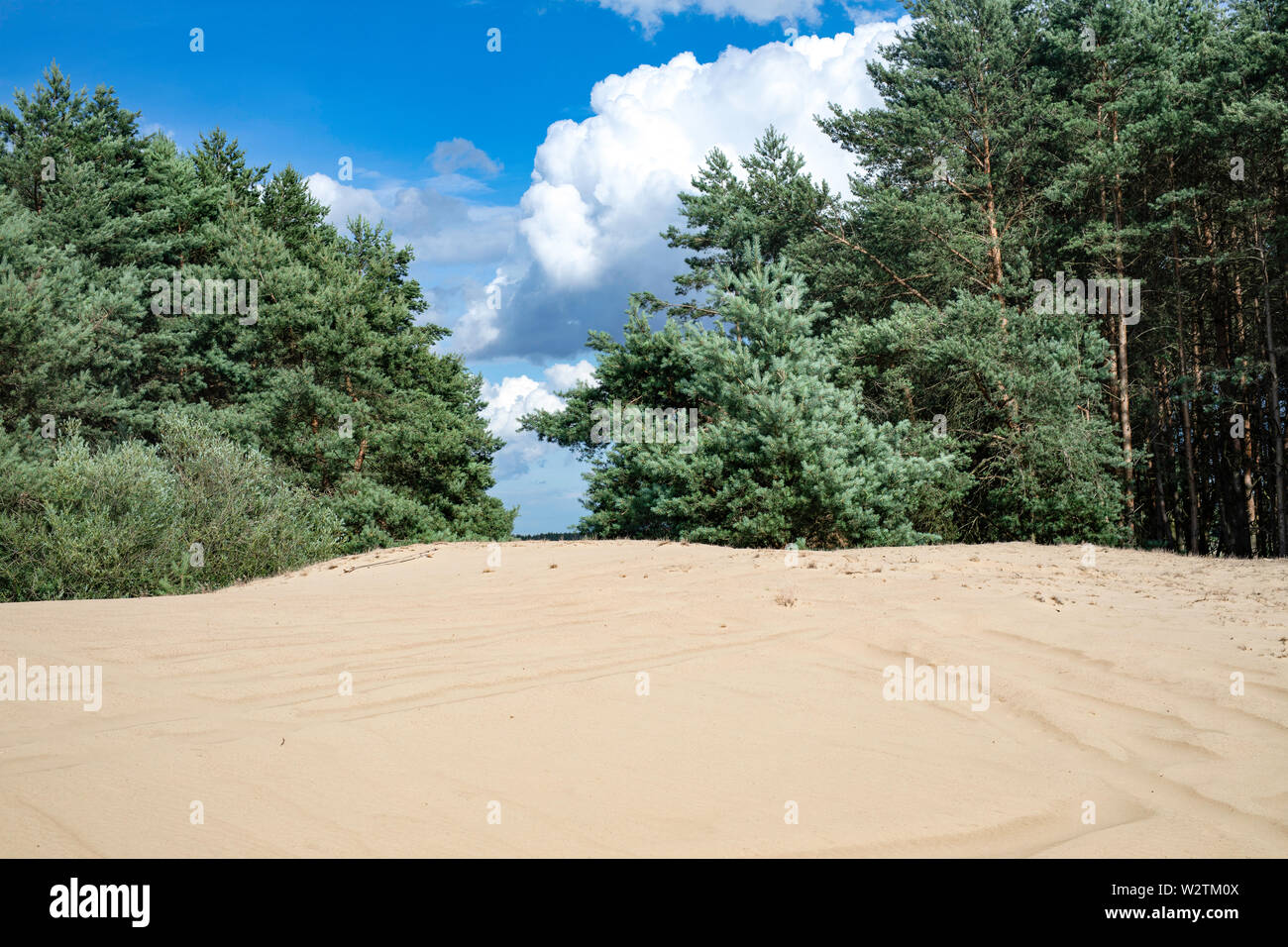 Inland dunes, sand hills on the river Warta, Protected area - "Warta Landscape Park" Stock Photo