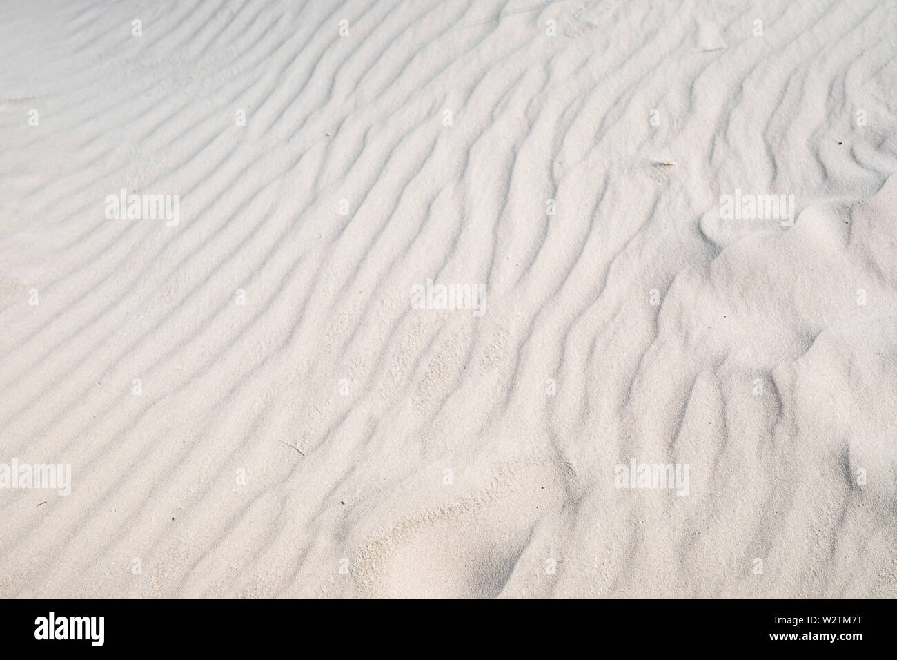 Sand wind waves, ripples, wavy lines on a beach Stock Photo - Alamy