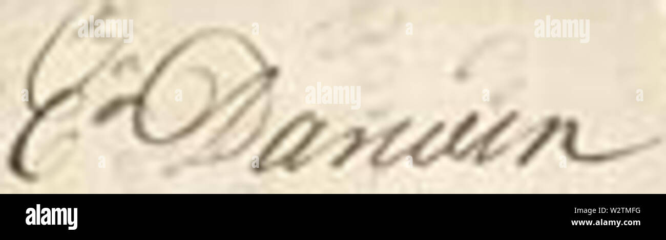 Darwin In Cursive Charles darwin family hi-res stock photography and images - Alamy