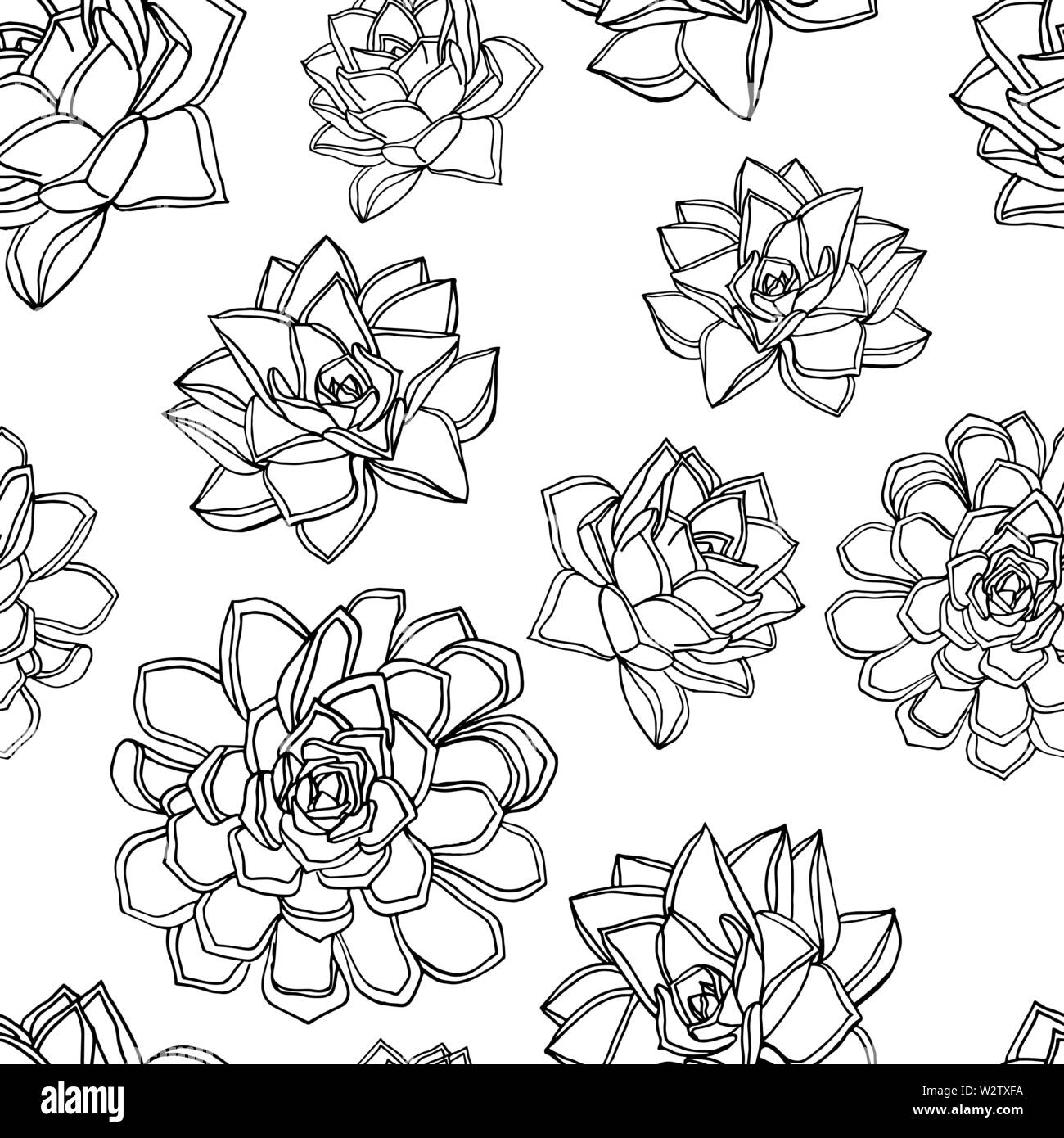Hand drawn doodle style seamless pattern with common houseleek, Sempervivum tectorum succulents. white background. stock vector illustration Stock Vector