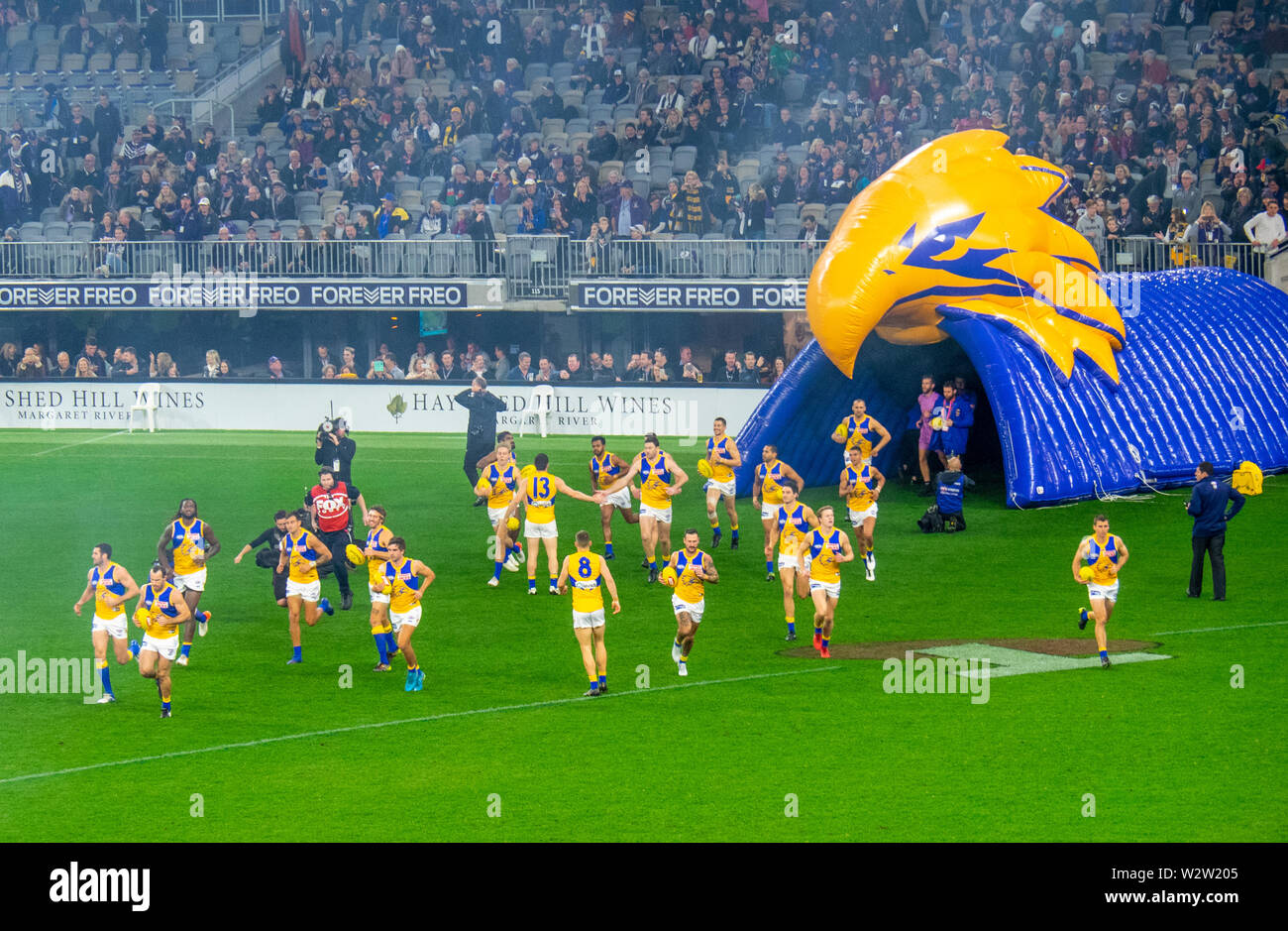 West Coast Eagles football players running onto the field in Western Derby AFL game at Optus Stadium Perth Western Australia. Stock Photo