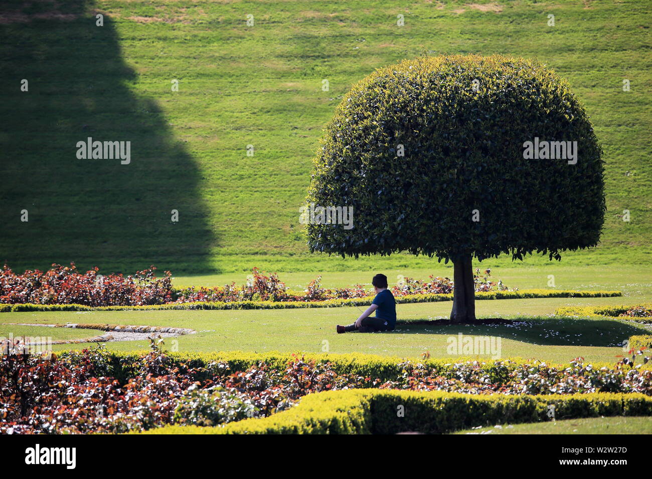 Boy alone in the garden protecting from the sun in the shade Stock