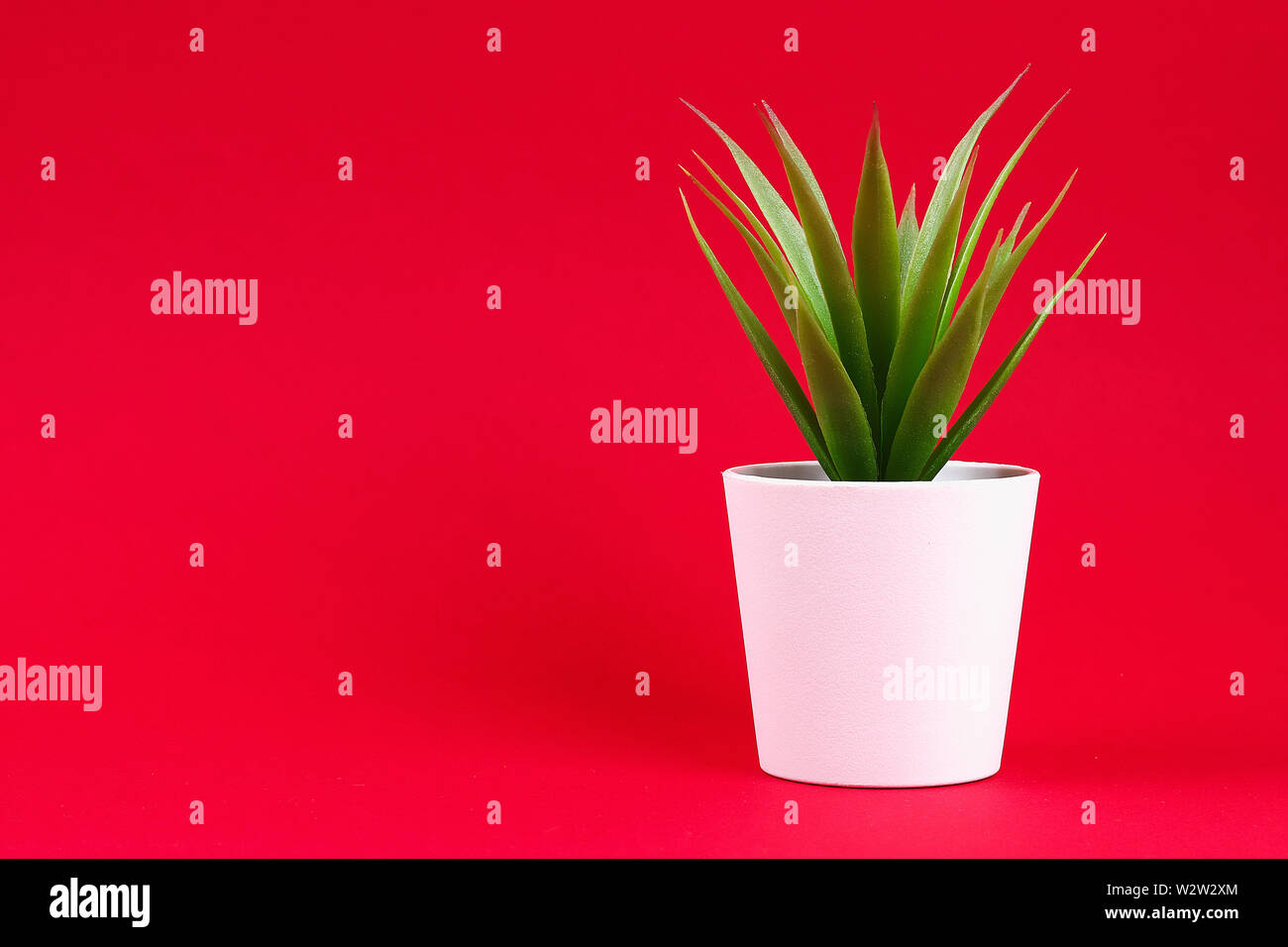Artificial green grass in a white small pot on a red burgundy background. Copy space. Stock Photo