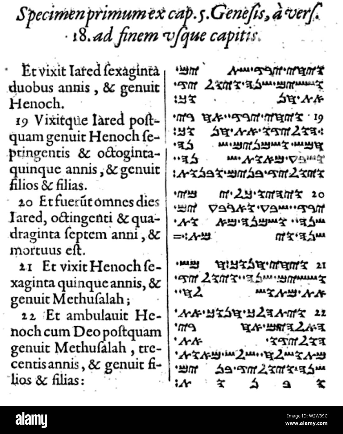Genesis 5 18 as published by Jean Morin in 1631 in the first publication of the Samaritan Pentateuch Stock Photo