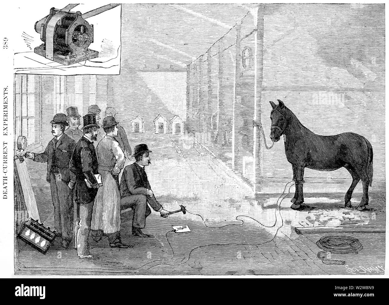 Harold Pitney Brown edison electrocute horse 1888 New York Medico-Legal Journal vol 6 issue 4 Stock Photo
