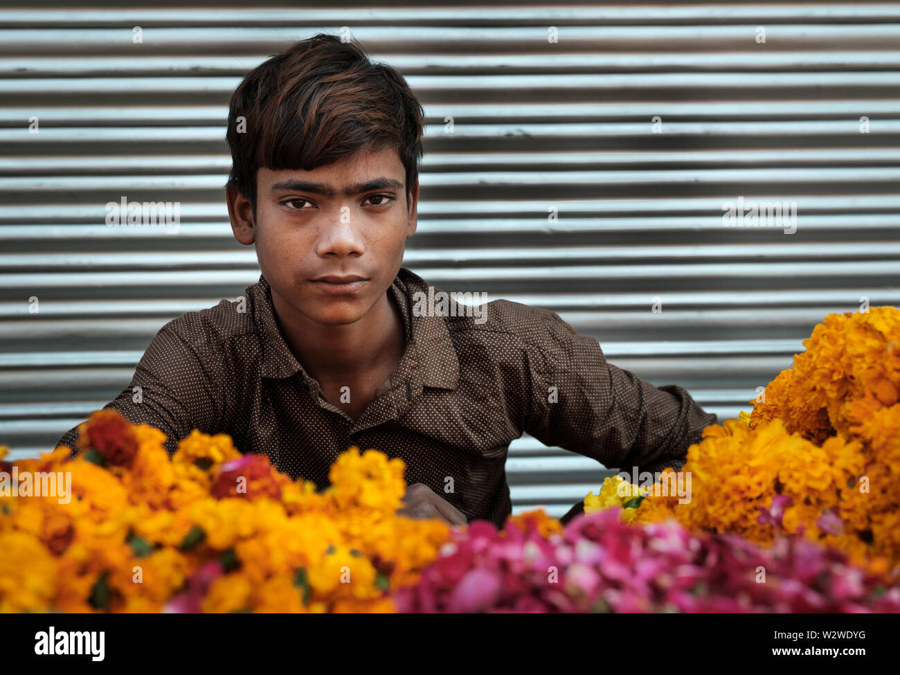 NEW DELHI, INDIA - CIRCA NOVEMBER 2018: Young boy selling marigold flowers in the  Chandni Chowk area in Old Delhi. Stock Photo