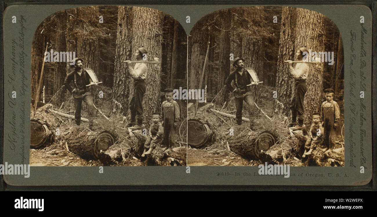 In the lumber region of Oregon, USA, by Keystone View Company Stock
