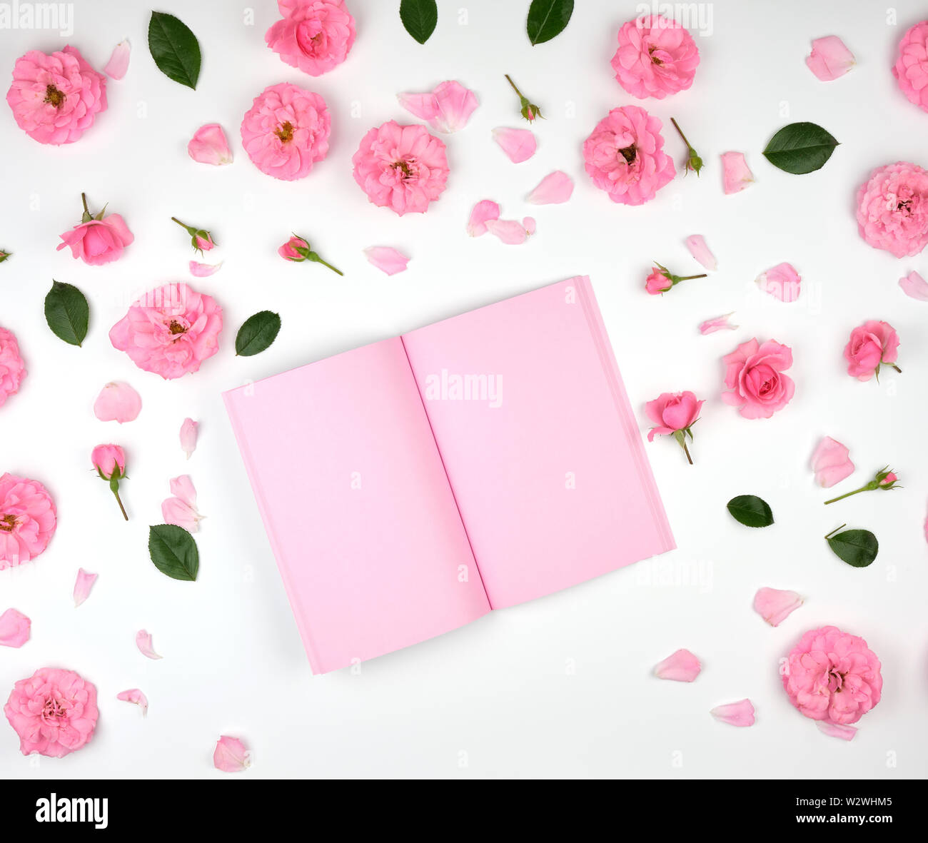 open notebook with pink blank pages on a white background and petals of ...