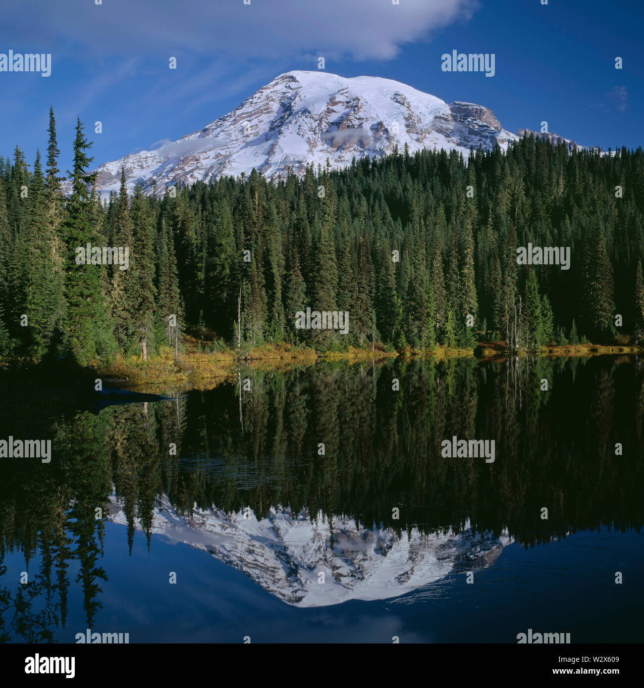 Dormant shrub hires stock photography and images Alamy