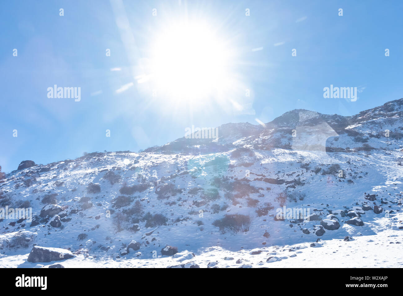 Sun and Snow Shield 