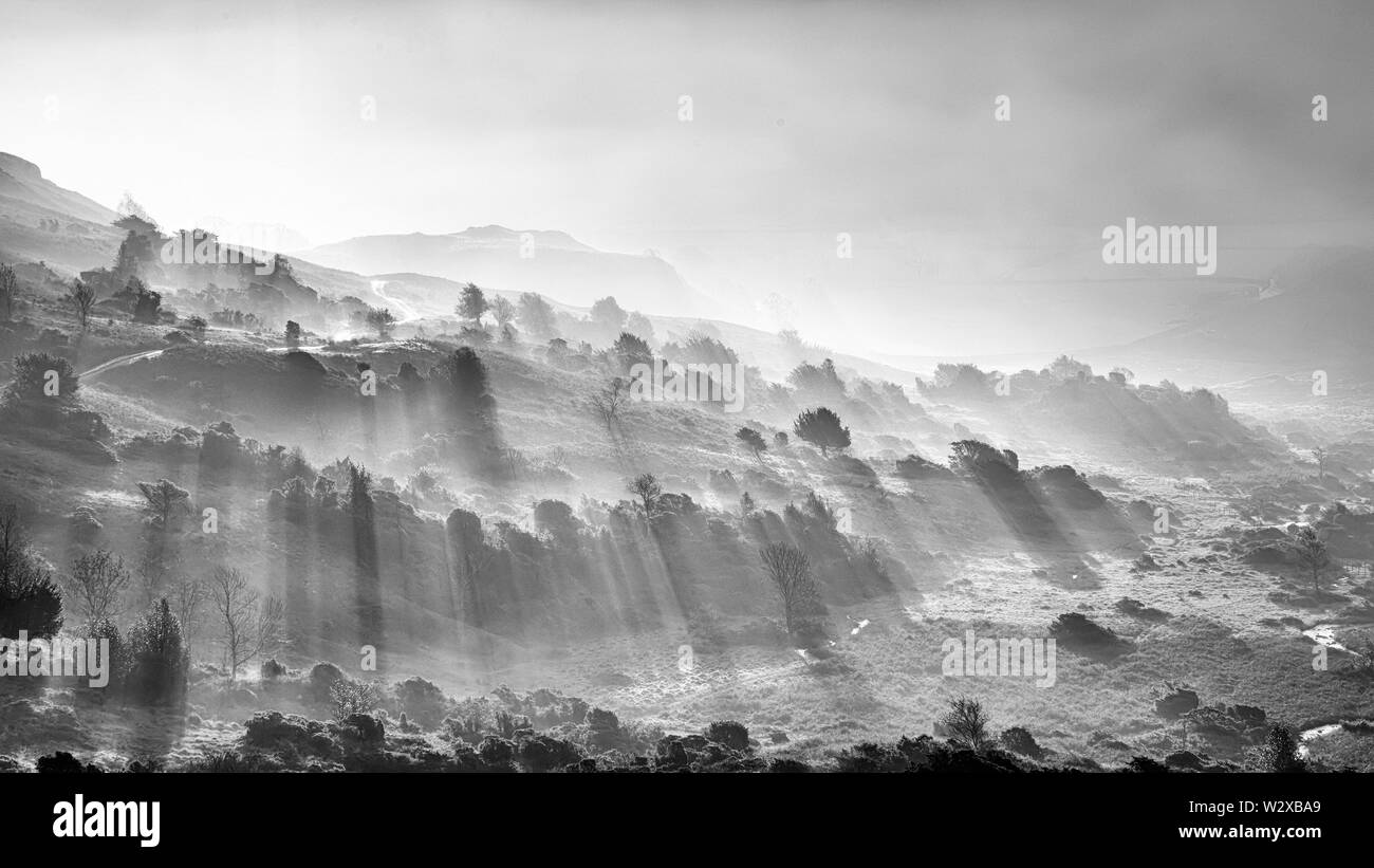 Gold sun beams Black and White Stock Photos & Images - Alamy