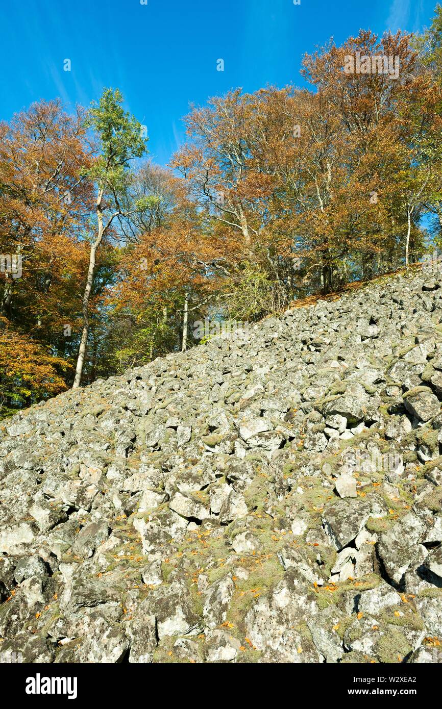 Block heap, mountain Losershag, autumn, biosphere reserve Rhon, nature reserve Schwarze Berge, Bavaria, Germany Stock Photo