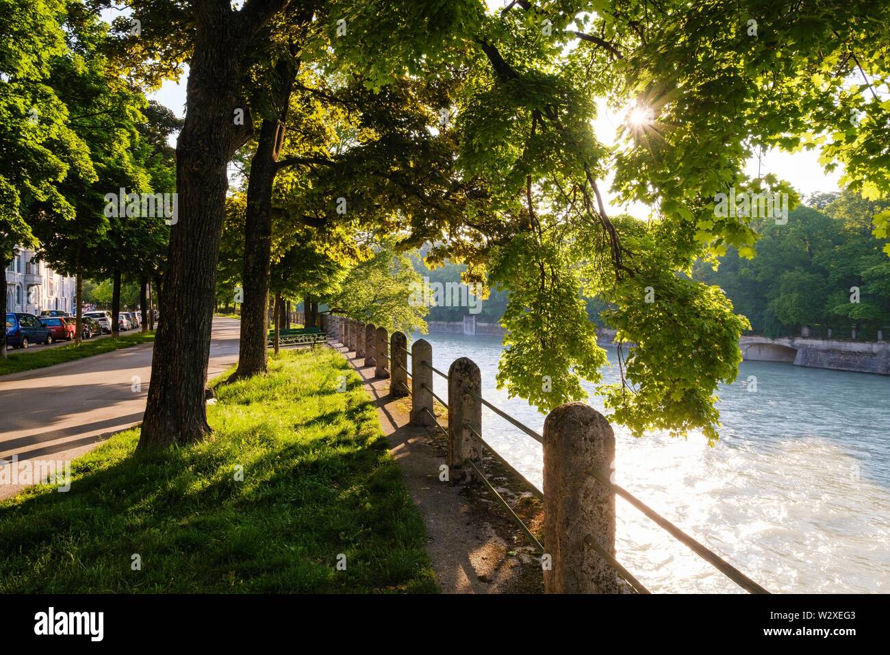 Pedestrian path with maple trees on the Isar, Widenmayerstrasse, Lehel, Munich, Upper Bavaria, Bavaria, Germany Stock Photo