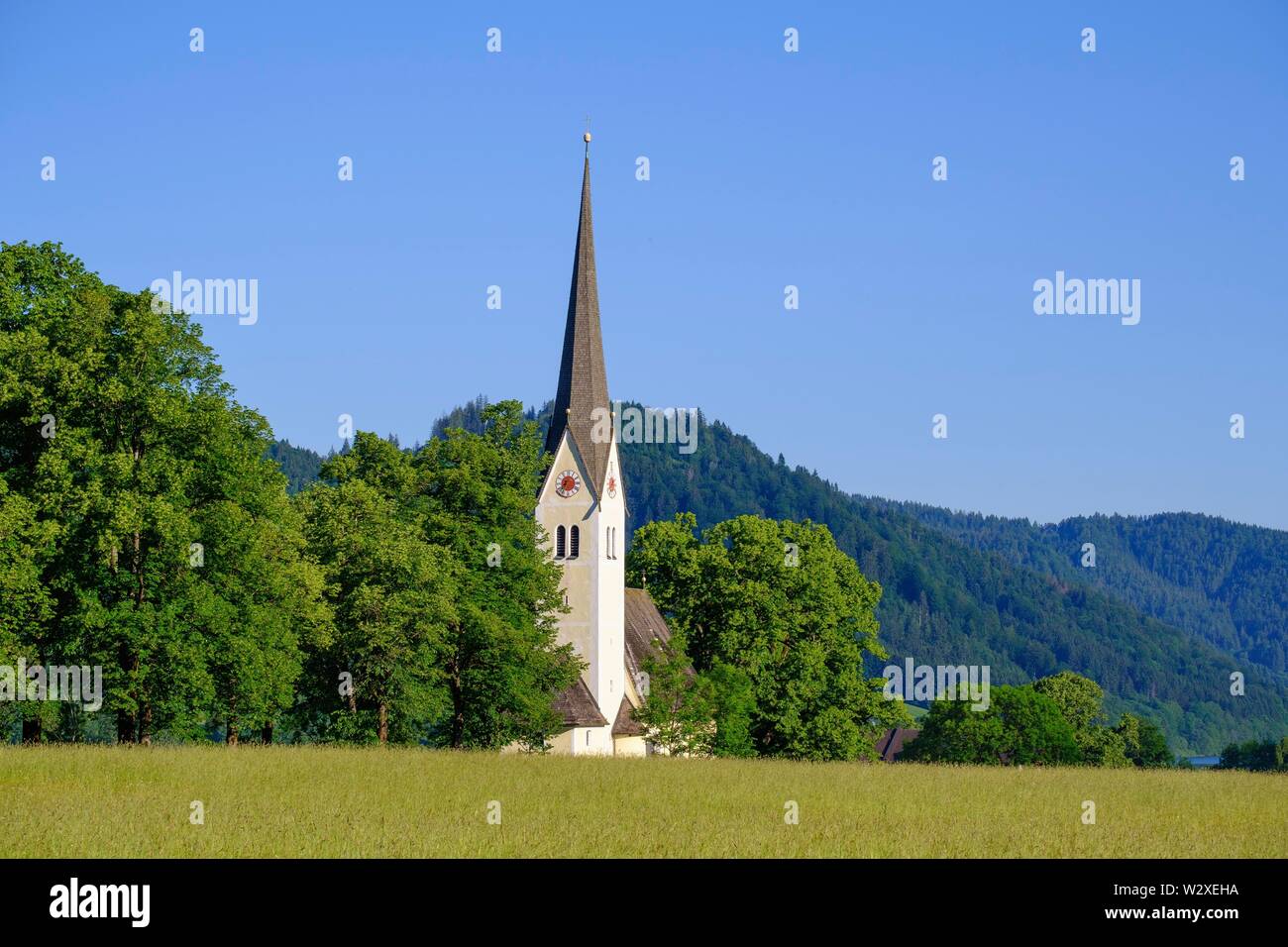 Church St. Leonhard, Fischhausen am Schliersee, Upper Bavaria, Bavaria, Germany Stock Photo