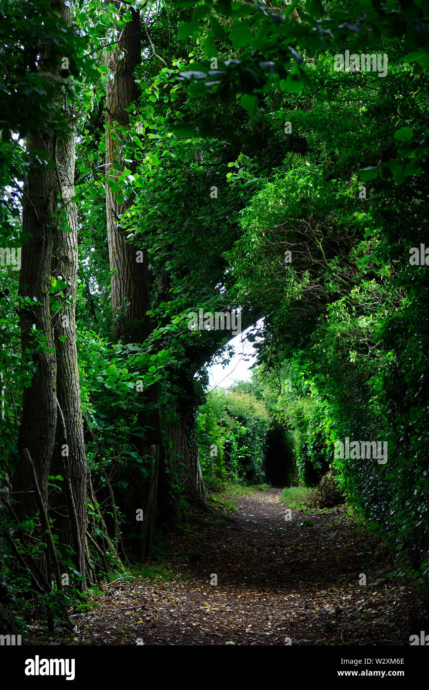 Public footpath through the countryside Boughton Monchelsea village ...