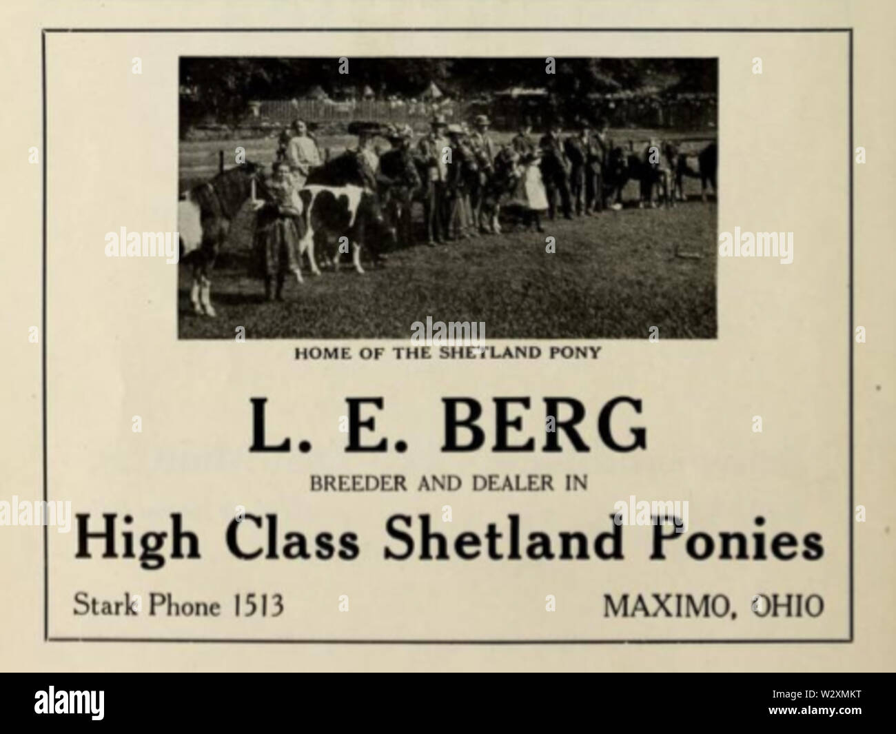 Shetland pony breeder hi-res stock photography and images - Alamy