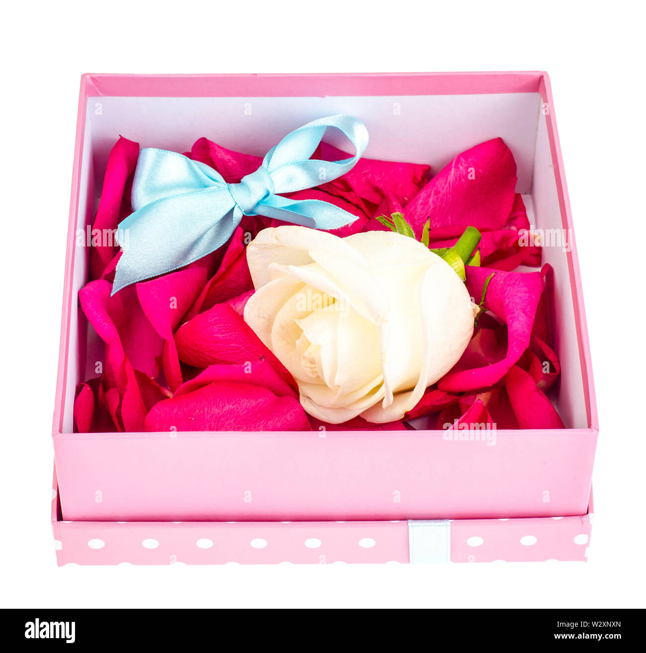 Rose Petals in a Square Box Rose Petals in a Square Box