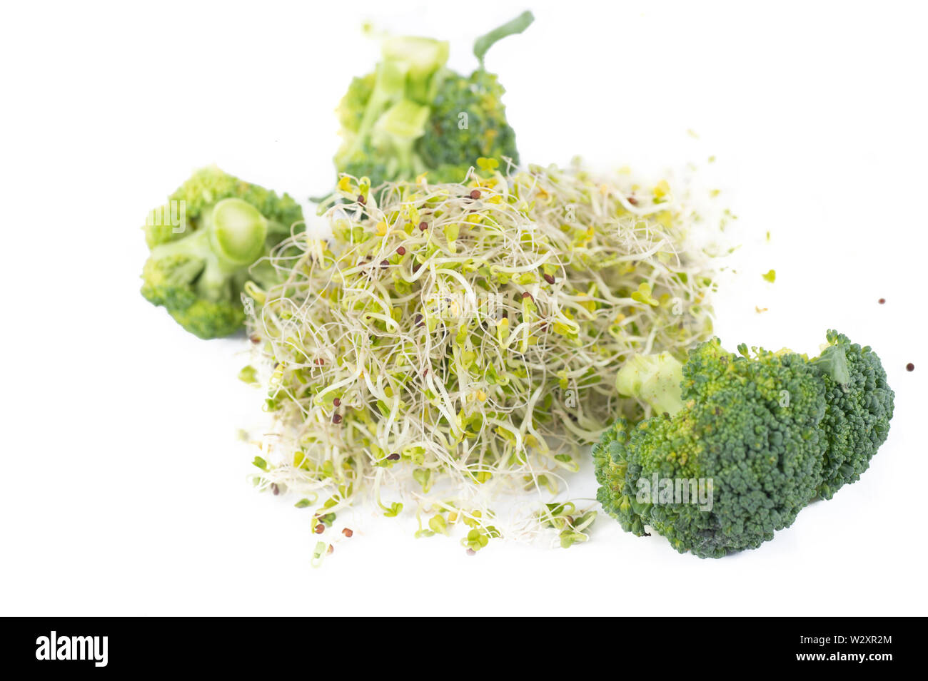 Organic broccoli sprouts and bouquets isolated on white background. Stock Photo