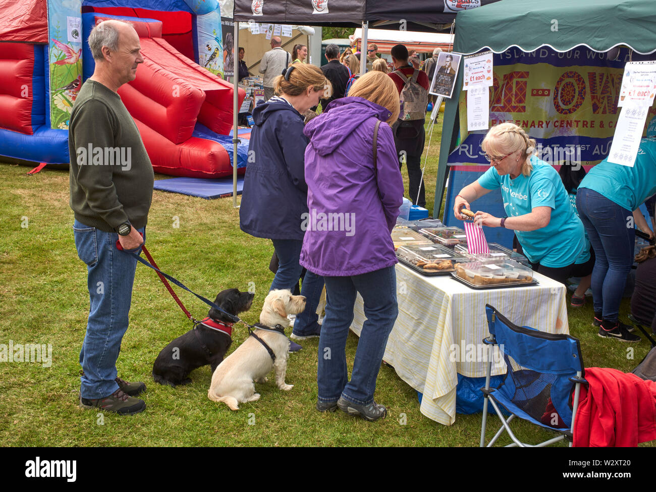 Two dogs eagerly eyeing up cakes at the Tynwald Day fair, St John’s, Isle of Man Stock Photo