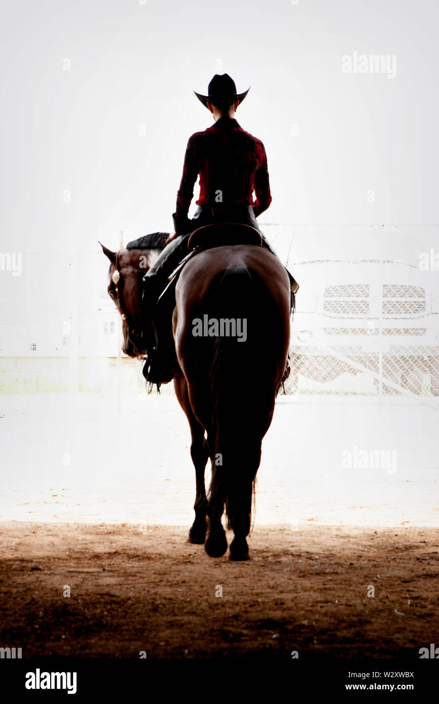 Horse handler prepare for a show at the Star of Texas Rodeo and Fair in