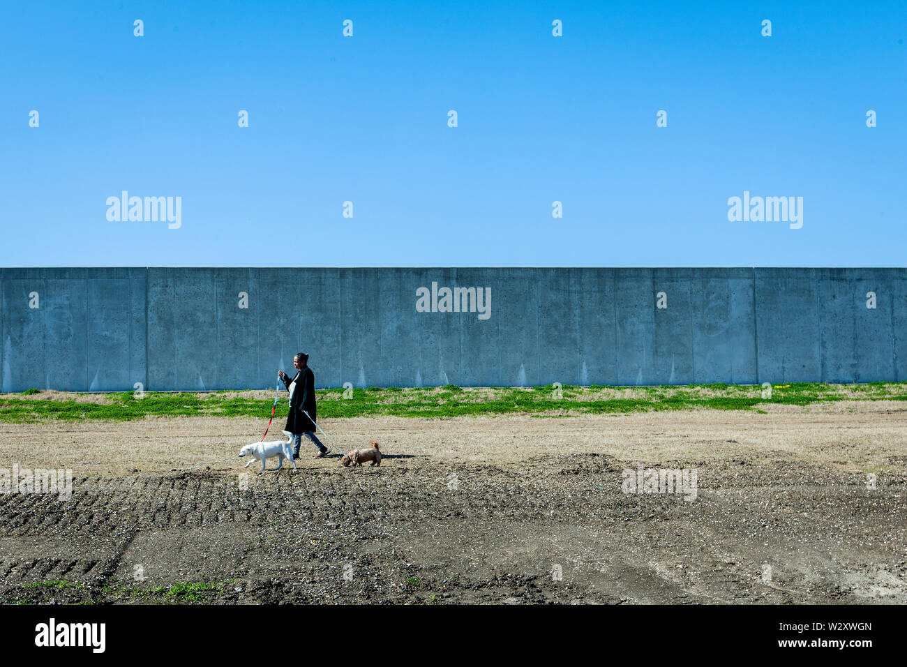 A woman walks a dog along the new flood protection on the restored dikes in the Lower Ninth Ward neighborhood.  The New Orleans neighborhood Lower Ninth Ward was devastated by the Hurricane Katrina and the aftermath. Five years after, the neighborhood is the biggest tourist attraction in the area. Stock Photo