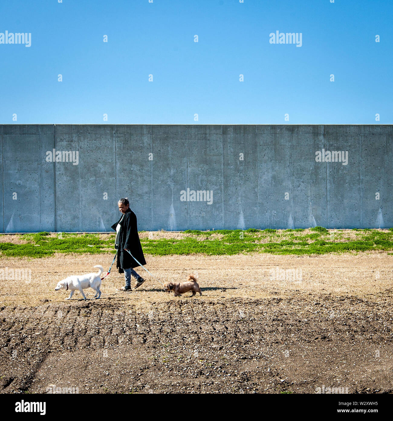 A woman walks a dog along the new flood protection on the restored dikes in the Lower Ninth Ward neighborhood.  The New Orleans neighborhood Lower Ninth Ward was devastated by the Hurricane Katrina and the aftermath. Five years after, the neighborhood is the biggest tourist attraction in the area. Stock Photo