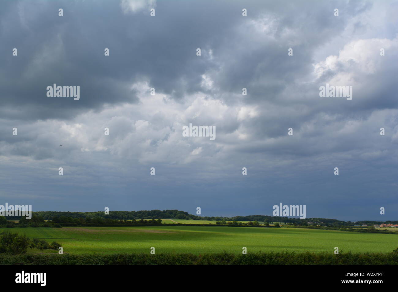 big grey and white clouds looming over green fields by the coast. English landscape. Stock Photo