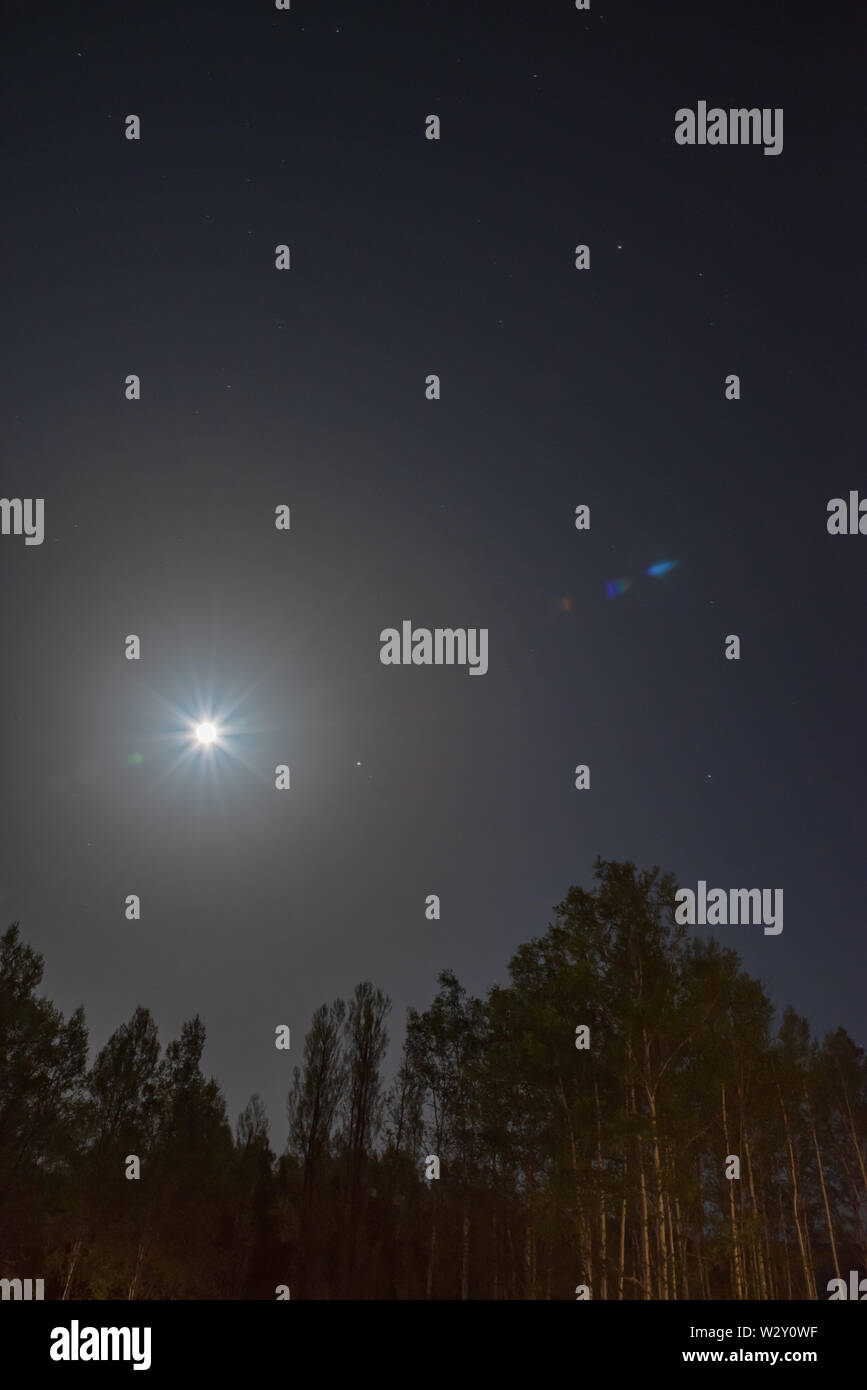 Forest in silhouette with starry night sky and light full moon Stock ...