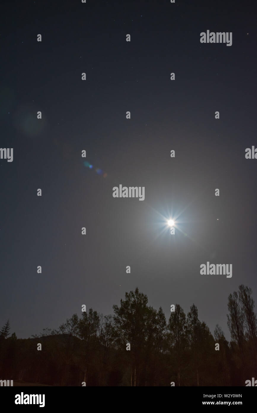Forest in silhouette with starry night sky and light full moon Stock ...