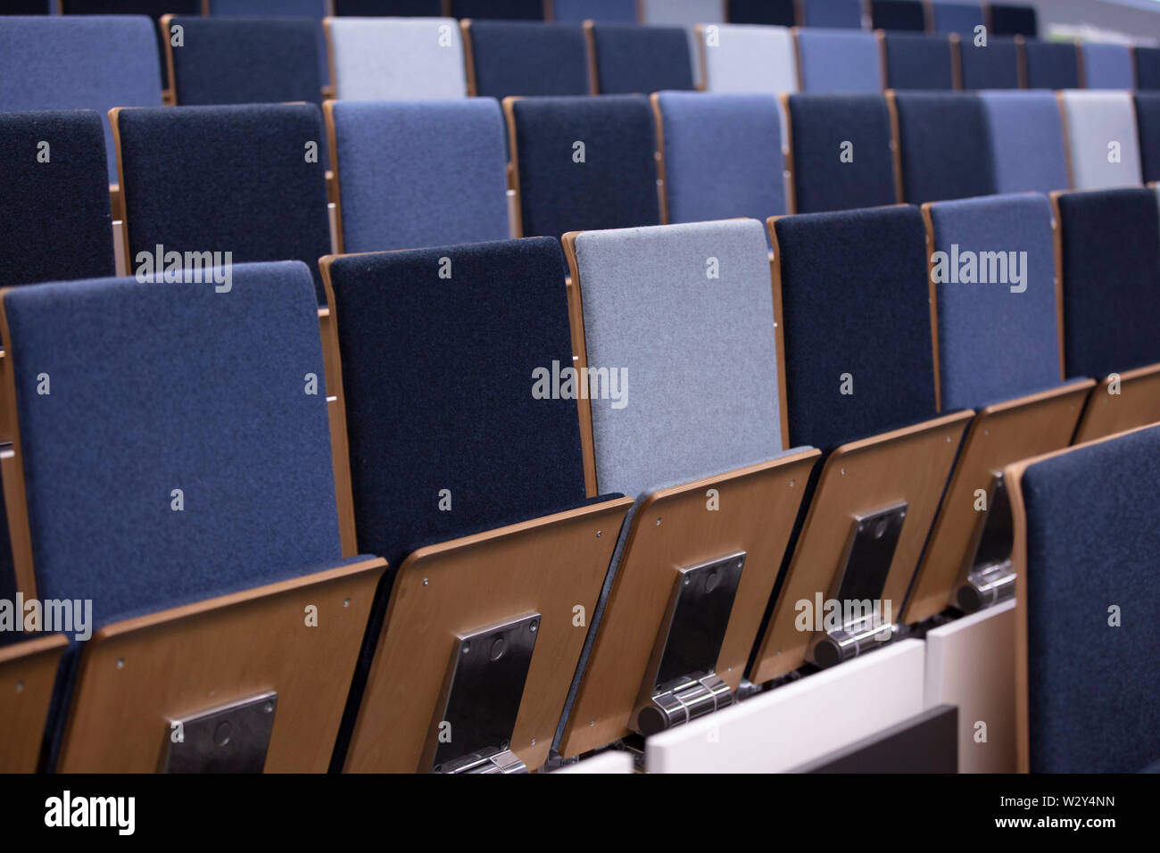Rows of empty blue chairs in a conference room Stock Photo