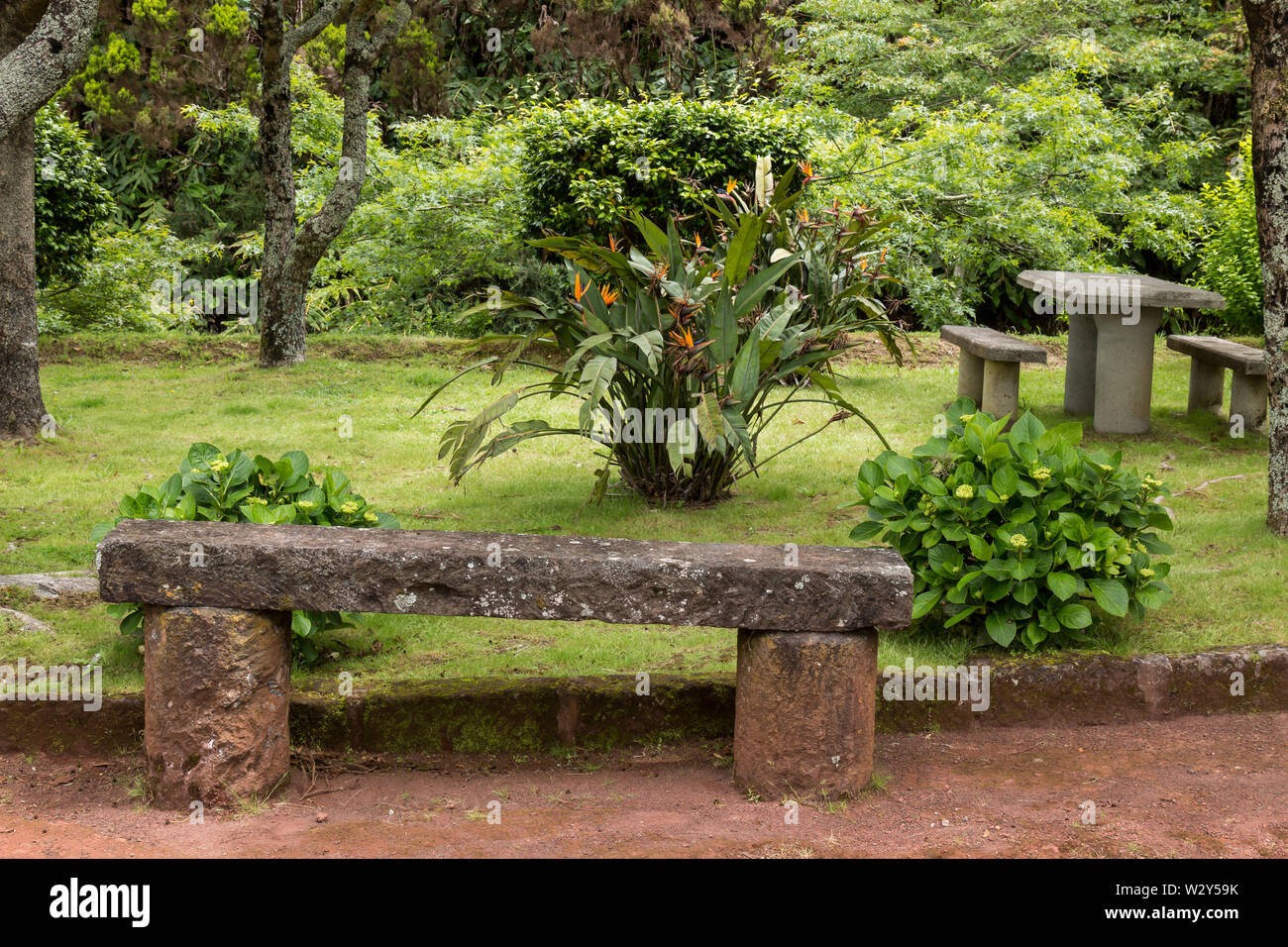 Stone bench at the edge of a grass at a resting area for travellers. Beautiful plants and flowers in the grass.  Sao Miguel, Azores Islands, Portugal. Stock Photo