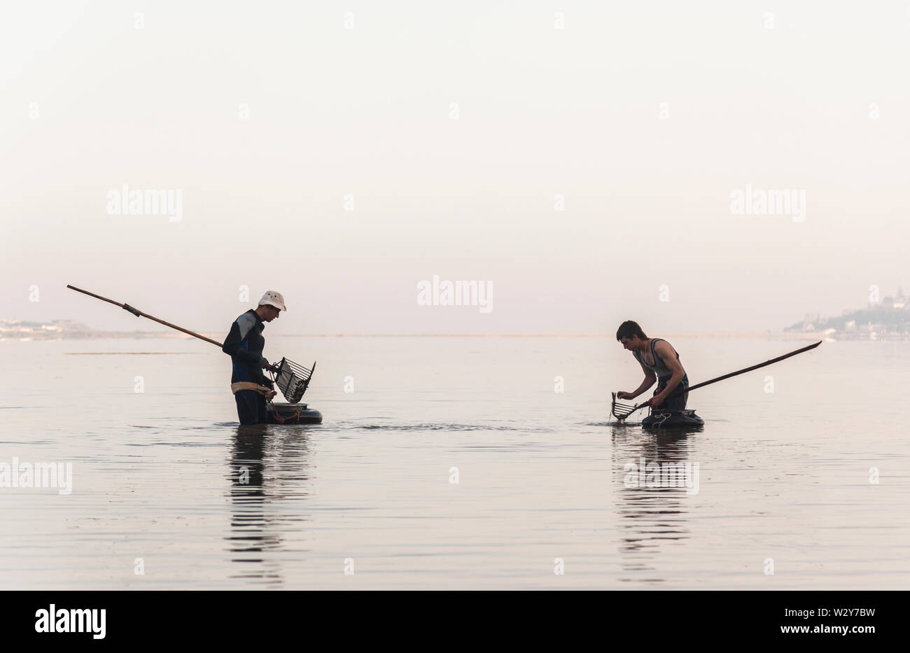Two fishermen harvesting shellfish from a lagoon in Portugal Stock Photo