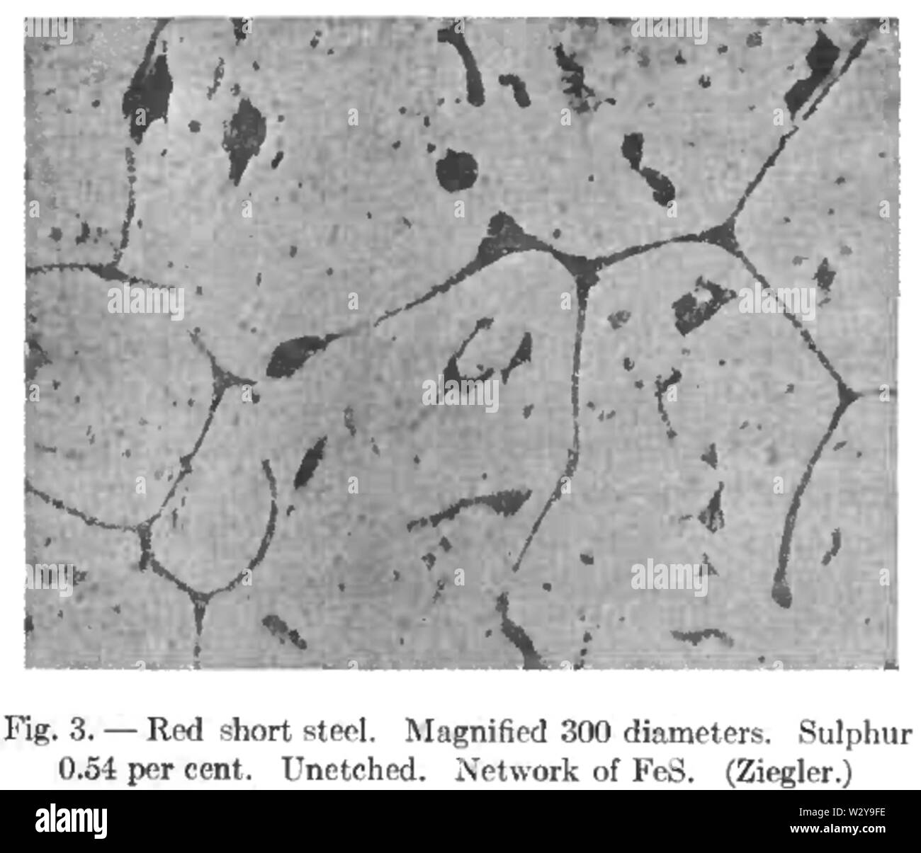 Metallography of iron FeS inclusions Stock Photo Alamy