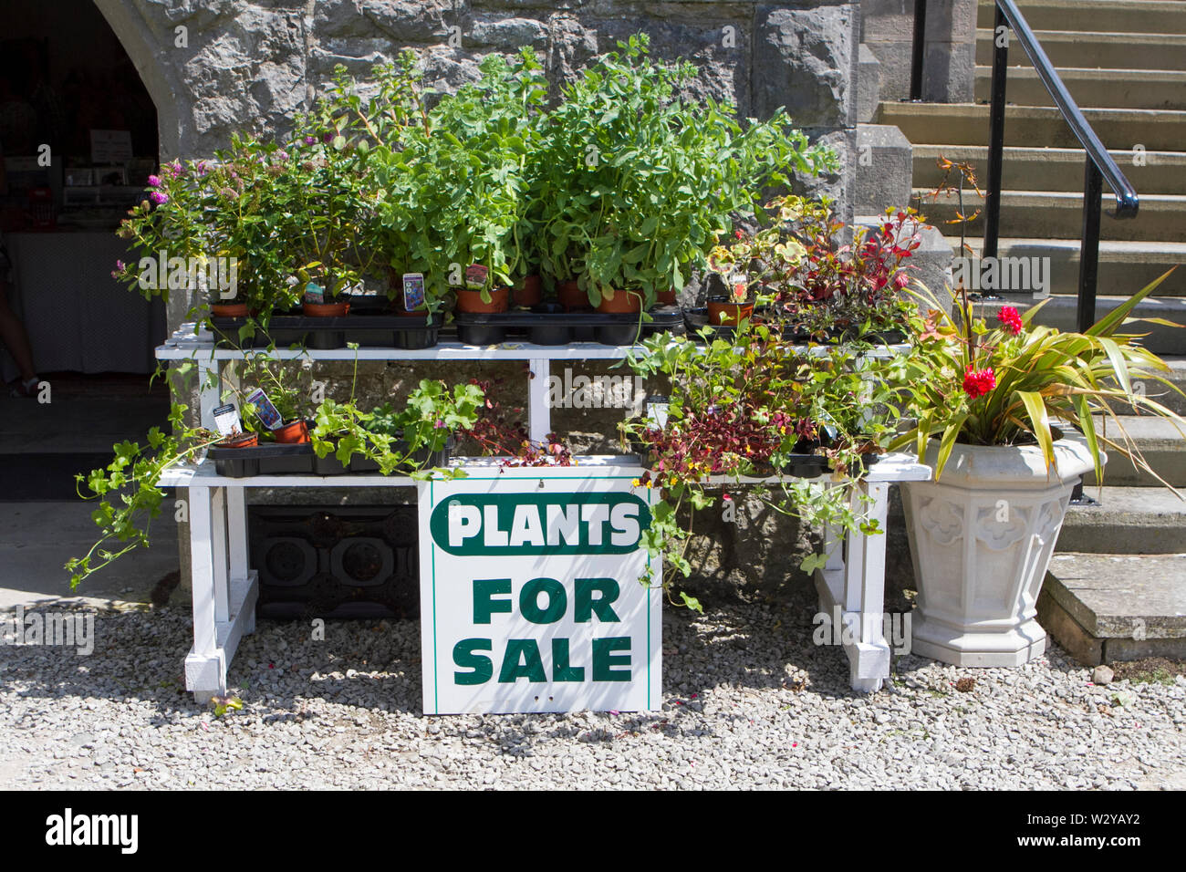 Leighton hall garden hires stock photography and images Alamy