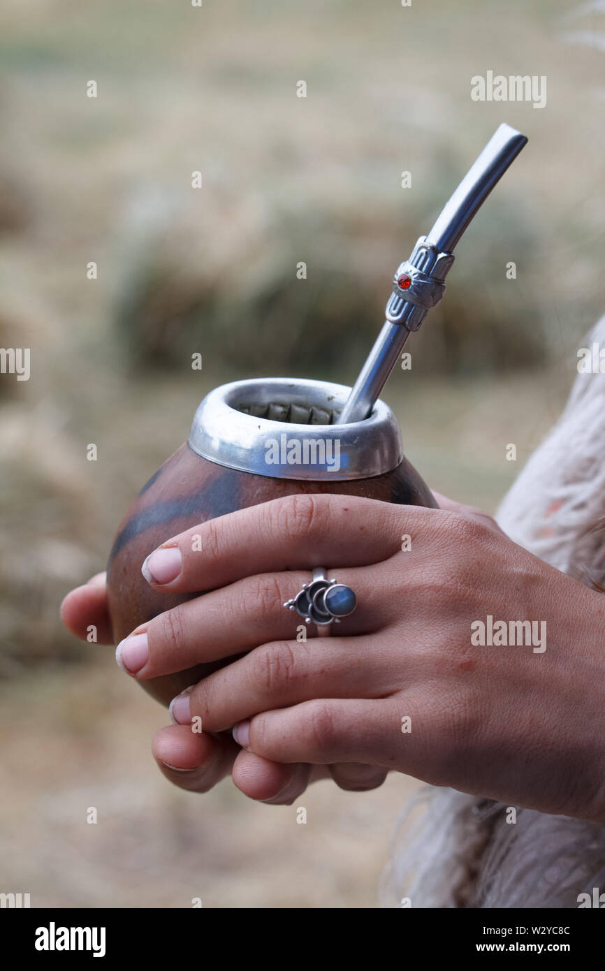Womans hands hold traditional calabash gourds for yerba mate on the wooden surface, selective focus Stock Photo