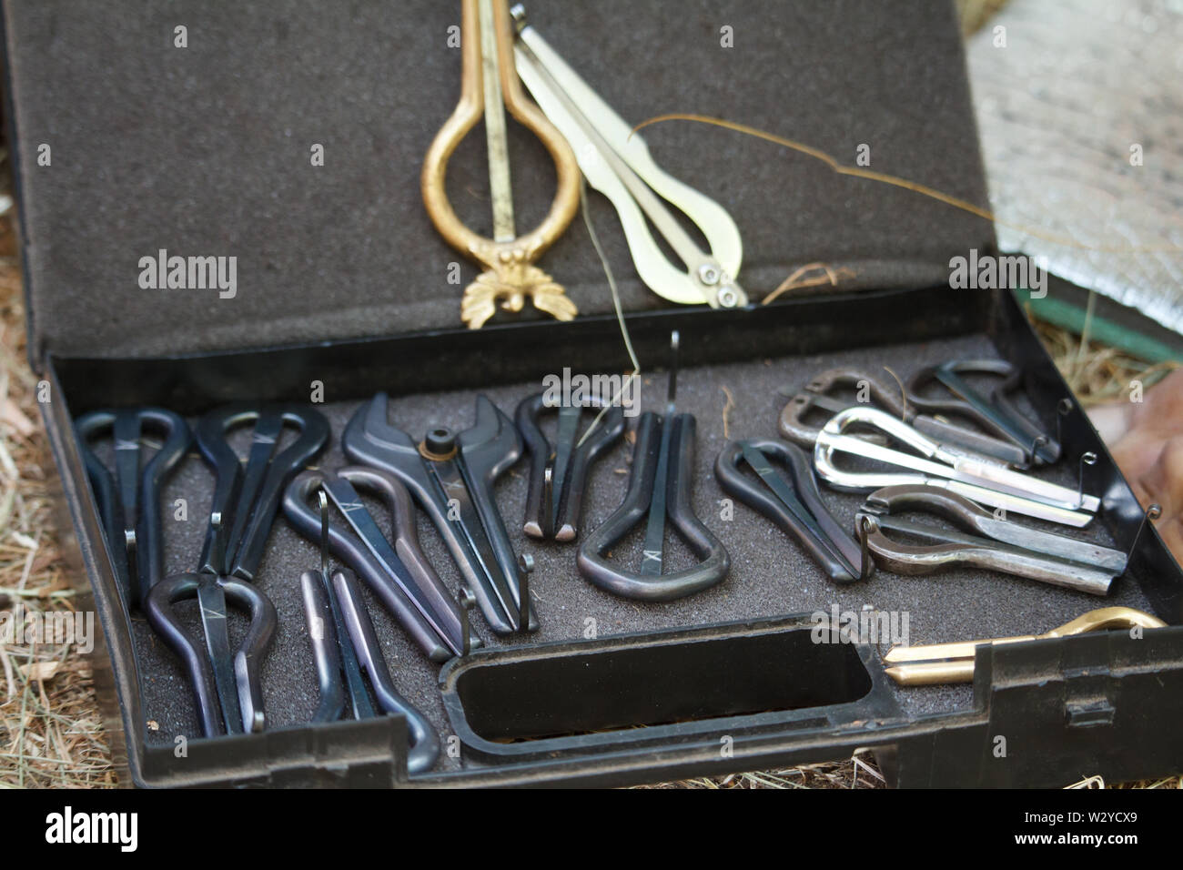 Closeup of a lot of jaw harps, khomuses, folk musical instruments