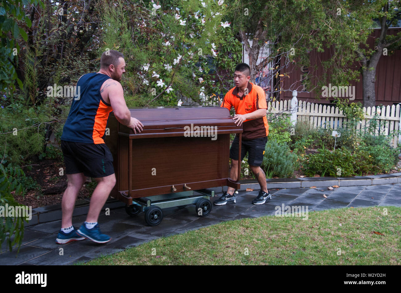 Experienced removalists shift a piano from a home in suburban Melbourne, Australia Stock Photo