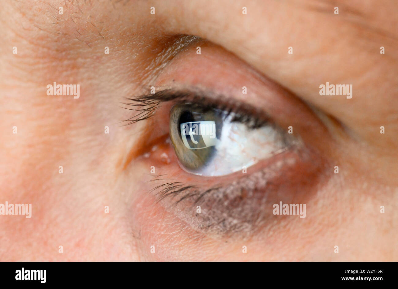 Auge, Logo Tumblr. Stock Photo