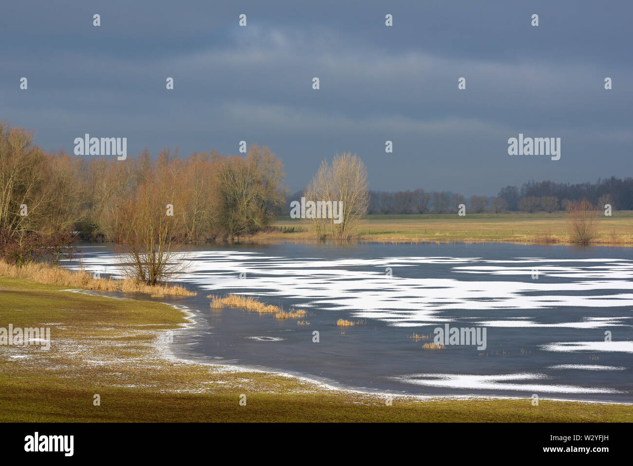 Frozen lake at river Rhine in winter, january, Rees, Lower Rhine, North Rhine-Westphalia, Germany Stock Photo