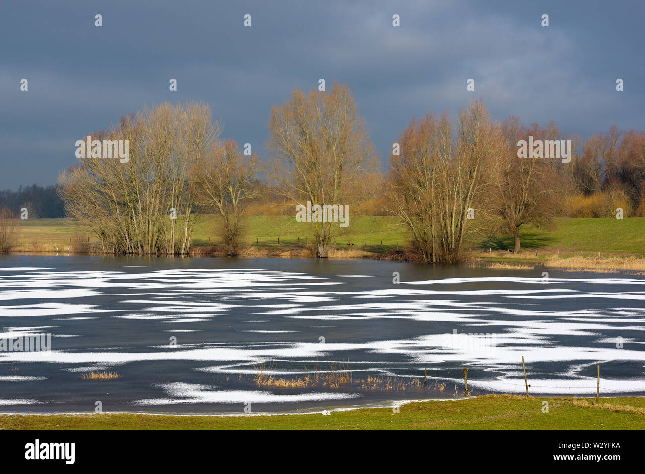 Frozen lake at river Rhine in winter, january, Rees, Lower Rhine, North Rhine-Westphalia, Germany Stock Photo