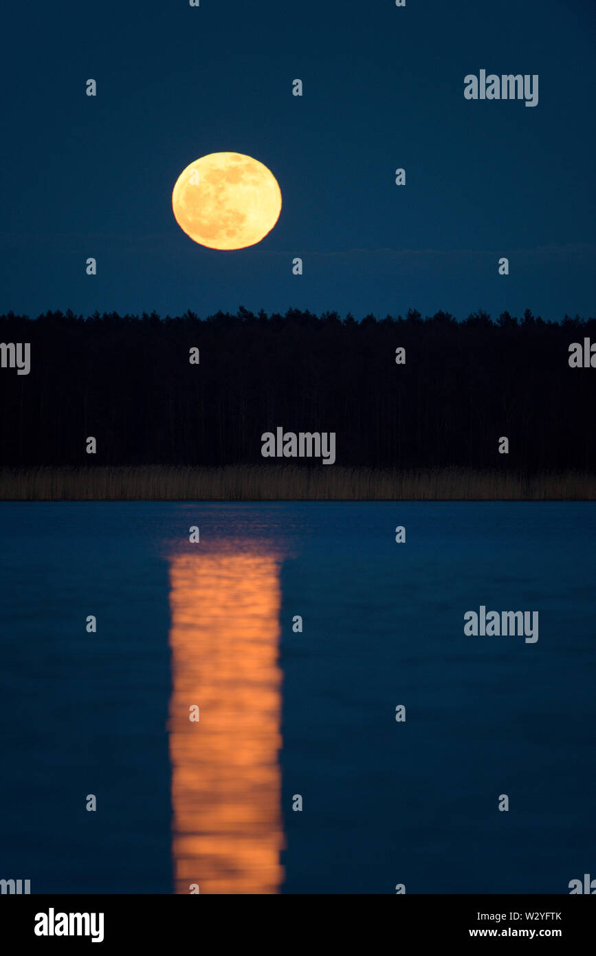 Full moon at Woblitzsee, april, Gross Quassow, Mecklenburg-Vorpommern, Germany Stock Photo