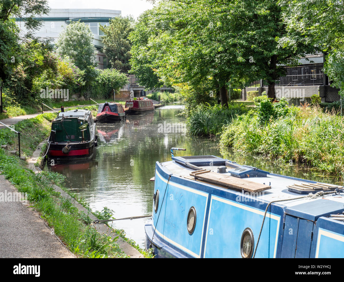 Canal boats, or narrowboats or longboats moored at Hockerill Cut on the River Stort at Bishops Stortford Hertfordshire UK Stock Photo