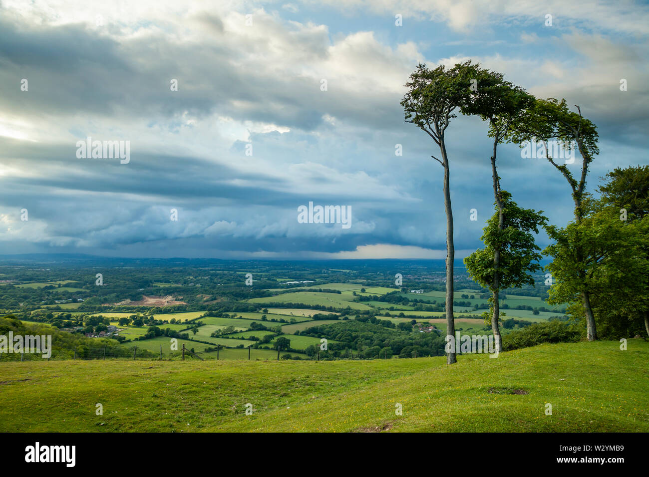 Spring afternoon at Chanctonbury Ring on the South Downs in West Sussex. Stock Photo