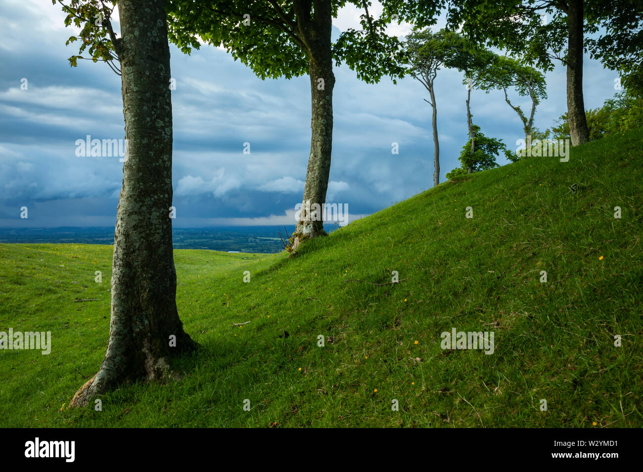 Spring afternoon at Chanctonbury Ring, prehistoric hill fort in West Sussex. Stock Photo