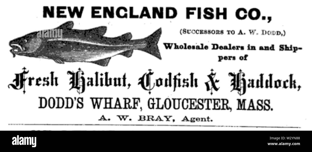 New England Fish Co advert Gloucester Massachusetts circa1870s Stock
