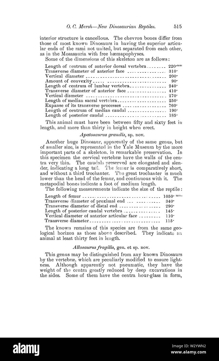 Notice of New Dinosaurian Reptiles from the Jurassic formation Page 2 Stock Photo